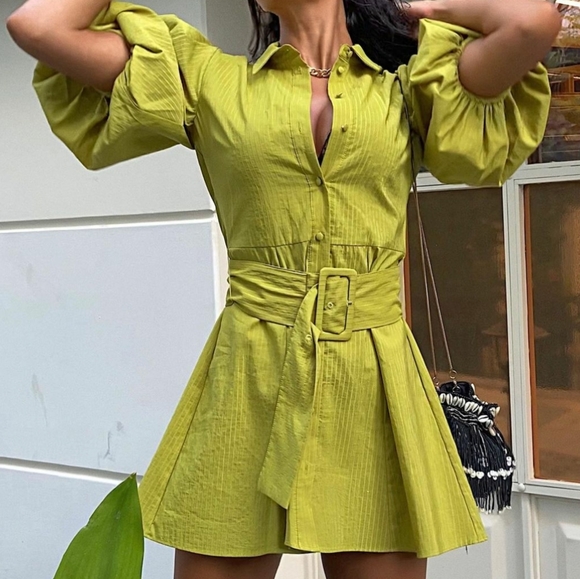ZARA | Voluminous Sleeve Belted Dress Pistachio - Picture 6 of 16